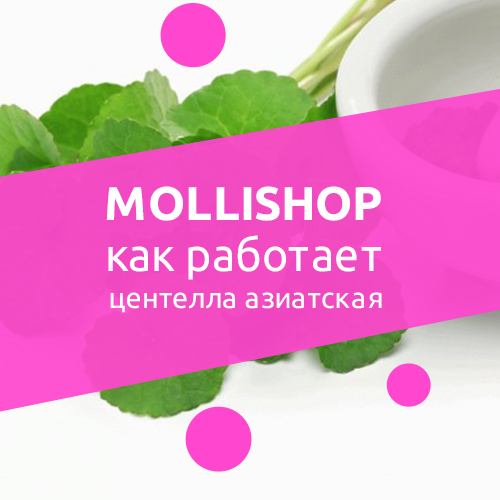 Корейская косметика с экстрактом центеллы: большой выбор недорого в «Molly Shop». Корейская косметика с экстрактом центеллы: большой выбор недорого в «Molly Shop».