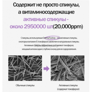 Интенсивный лифтинг-крем для лица с бакучиолом и спикулами Bakuchiol Spicule Max Cream Derma Factory 